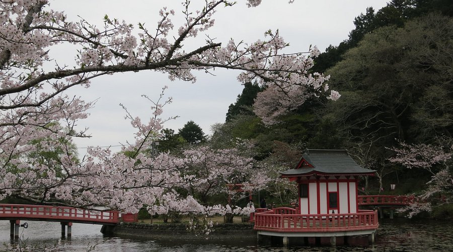 🌸 모바라 공원 (모바라코엔) 이미지 1